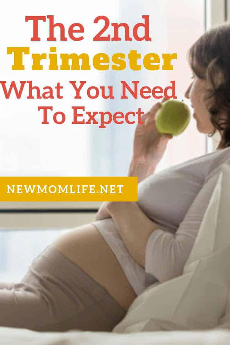 what to expect in the second trimester what to expect in the second trimester